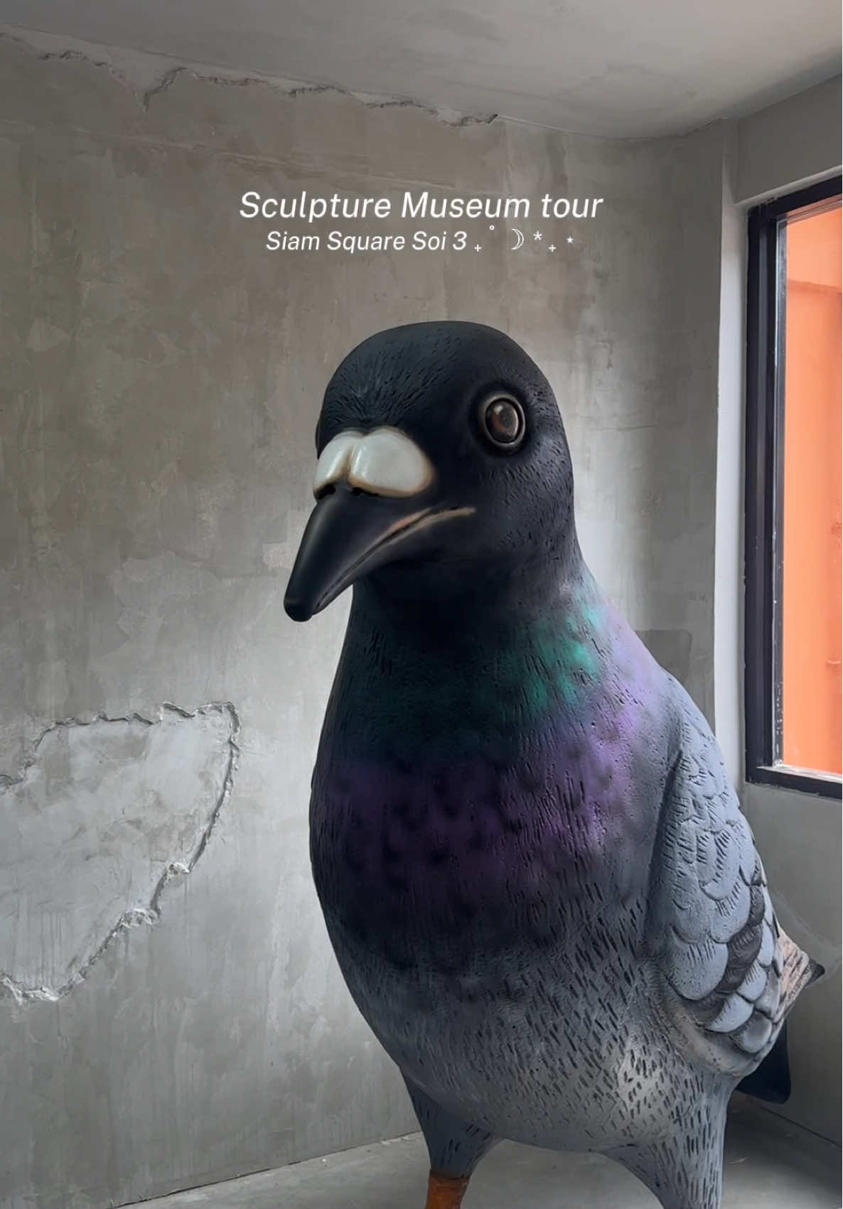 now open Sculpture Museum at Siam Sq Soi 3 🪺🎞️📸 @Sculpturebangkok #sculpturebangkok #sculpturemuseum 