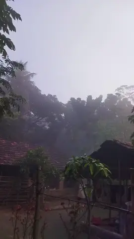 আর কিছুদিন পর আসছে শীতকাল আর শীতকালে তো জানাই খেজুরের রস খেতে কেমন লাগে #