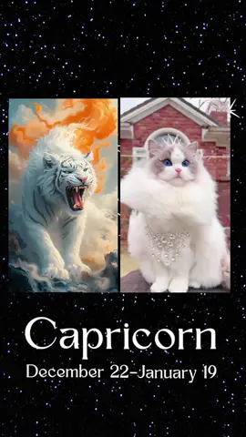 #capricorn #zodiacsigns  Ayo Ngaku Wahai Manusia Kutub Utara ..Ketua Mewakili Perasaan Mu🫵🤣🤣
