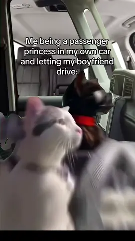 #Meme #MemeCut 