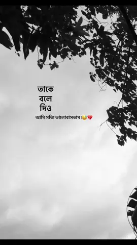 আমি সত্যি ভালোবাসতাম 😌💔                                       #foryoypageofficial #vairal_video_tiktok_trending #biditiktokofical #foryoupageofficialforyoupageofficiall #foryoupageofficialforyoupageofficial 