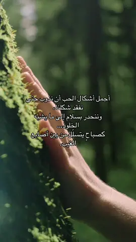 #صباح_الروح #انسياب_الغيب #MysticMorning #FlowOfTheSoul 