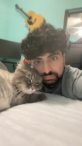 #cat #catsoftiktok 