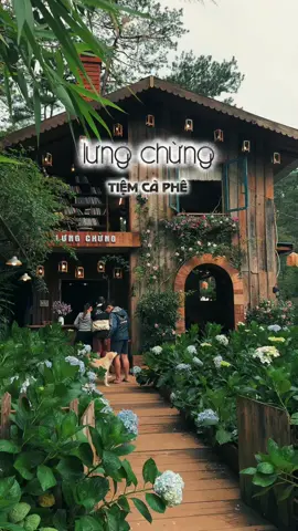 Một quân cà phê ẩn mình lưng chừng giữ rừng thông !!!! #dalatkeo #chilldalat #quancaphedepdalat #lungchung 