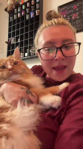 Nobody touches my Thor #catsoftiktok #cat 