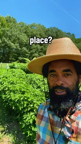 Shop with farmers you trust for fresh local food! #growwhereyouare #homeopothy #biodynamics #bitcoin