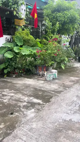 Quả này no say đến đêm rồi :))))) #cat