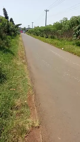 buka lahan baru hari ini.sabtu Minggu tgl.30-31 Agustus 2025.kebun milik mas Ruken🙏🙏🙏.alamat Soneyan Margoyoso
