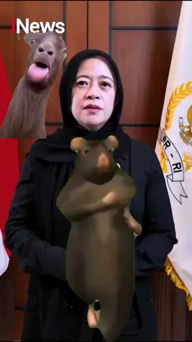 🔥Klarifikasi Puan Maharani meminta maaf..#puanmaharani #demokrasi #anggotadpr 