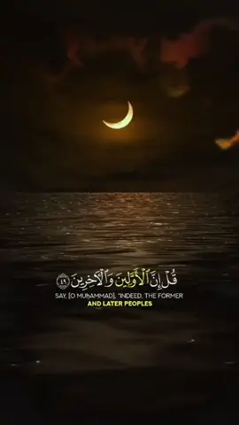 #اللهم_صلي_على_محمد_وأل_محمد❤❤❤❤ ##سبحان_الله_الحمدلله_لااله_الا_الله #لا_اله_الا_الله_محمد_رسول_الله_❤️ #استغفرالله_العظيم_واتوب_اليه #