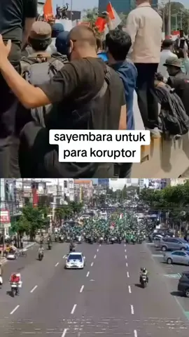 sayembara terbuka untuk sipa saja yg bisa memusnahkan para tikus tikus di negri ini akan di kasih hadiah setimpal #indonesia #dprkorupsi #foryou #pypシ #viral 