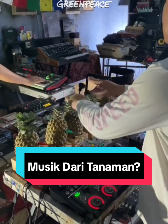 Dari Bandung ke Palembang, dari panggung musik ke hutan rawa… setiap nada adalah pengingat: Alam punya suara. Tugas kita… mendengarkan, dan menjaganya. #timcegahapi #palembang #forestra #fyp #belumerdekadariasap 
