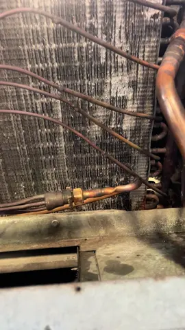For a few months now I’ve been working on this very old bard unit. The other day I was finally able to get all the electrical done even though I had no actual schematic I had to search for one compatible to it. Then it was time to run nitrogen through it only to find out that I had a few leaks. I welded the leaks closed and ran nitrogen again which at this time it held. I then proceeded to run a vacuum, but anybody that knows anything about vacuums. These things take forever and I ran out of time. Tuesday when I go back to school, I will put it on the vacuum right away. Once it’s done, I will add some R 22 refrigerant to it and hope this unit starts up after decades. #Hvac #FemaleHvacTech #Fyp #Bluecollarwoman #Foryourpage 