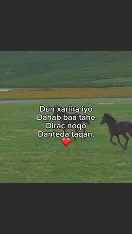.  . . . Dirac noqo.❤️ . . . . . . #fyp #somalitiktok #M🚩 