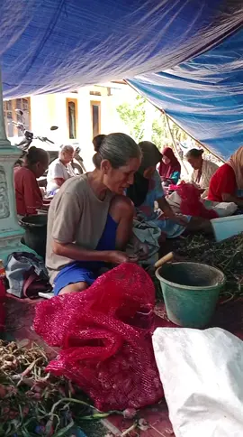 pejuang receh tetap semangat  di saat hujan 4 hri tidak  terang