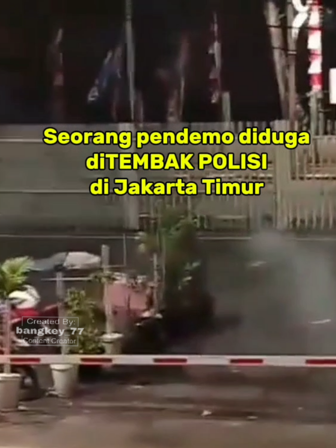 Lawan terus #onepiece #bangkey77 #BubarkanDPR #BrimobPembunuh  #CapCut 
