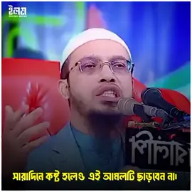 সারাদিনে কষ্ট হলেও এই আমলটি ছাড়বেন না! #শায়খ_আহমাদুল্লাহ #ইলম #foryou #foryoupage #unfrezzmyaccount 