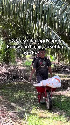 Spil sawit kalian setelah pemupukan bro.                               #ppks #tn1 #damimas #petani #djviral 