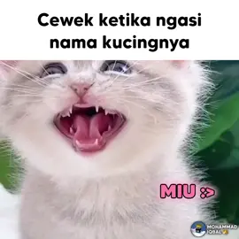 Cewek VS Cowok ketika menamai kucing 🐱 #meme #fyp 