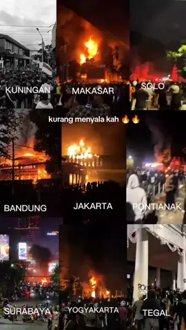 lanjot di Pontianak #pontianak #gedungdpr #sarang #tikus #demo