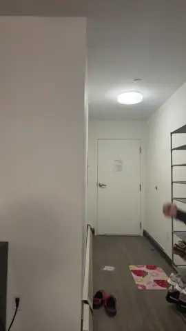 put it in my videooo