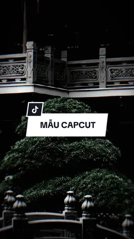 #CapCut Ngày em nói rời xa em không cần anh khi xưa em trót lỡ lầm #capcutmaster #xuhuong #nhachaymoingay 