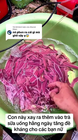Trả lời @Sharuk Khan ngon mà #trend #tiktokviral #hottrend #trending #xuhuong2025 