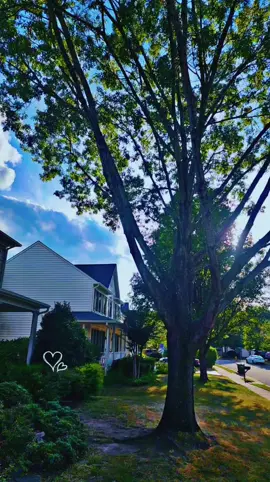 #arborist #treetrimmimg #bluecollar #🔥 #🌳 @ANTHONY NIX 