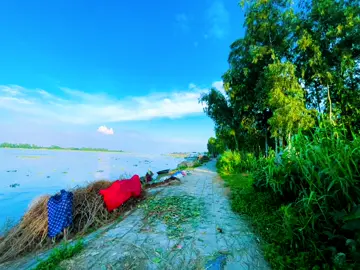 চইলা গেলা কোন অজানাই আমায় নিলা না🍁🥀🫶❤️‍🩹 #প্রাকৃতিক  ,,সারিয়াকান্দি কালিতলা ঘাট,,