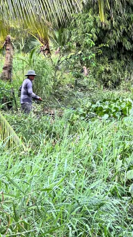 Điểm câu cá của các cần thue lão làng! #Xuhướng #viral #caucavatrainghiem #câucá #xh 
