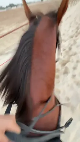 #عيدة🔥🔥 #ياقوت #🔥🔥🔥🔥🤩