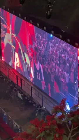 The concert was amazing!!! #puertorico #badbunny #badbunnypr #badbunnypr🐰 #dtmf @Bad Bunny 