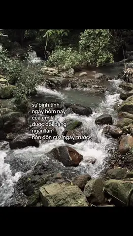 sự bình tĩnh ngày hôm nay của em là được đổi bằng ngàn lần hỗn độn của ngày trước..  #fyp #abcxyz #foryou 