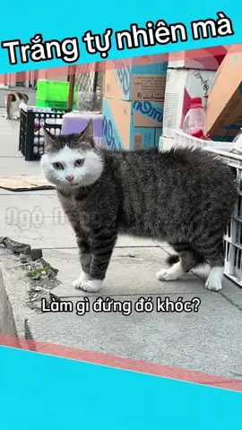 Trắng tự nhiên mà