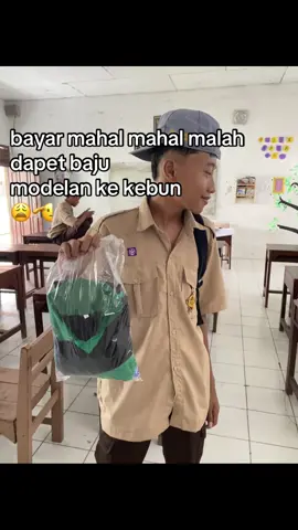 aiis cees