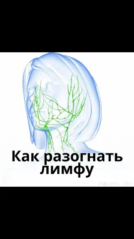 #лимфа          📌 Как разогнанная лимфа влияет на организм:      🚰 Вывод токсинов — лимфа «смывает» продукты обмена и выводит их из организма. 	💧 Снижение отёков — уходит лишняя жидкость, лёгкость в лице и теле. 	🛡 Иммунитет — лимфа переносит иммунные клетки, значит, защита организма работает лучше. 	⚡️ Энергия и бодрость — при хорошем лимфотоке кровь насыщается кислородом, обмен веществ ускоряется. 	🌸 Кожа и красота — чистая лимфа = меньше воспалений, ровный тон и свежий вид✨