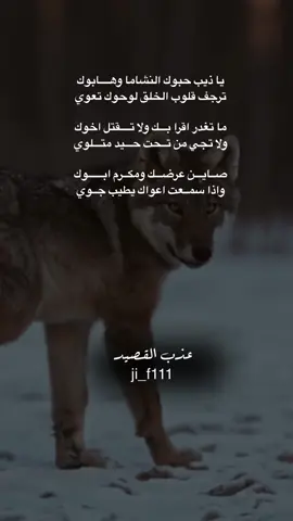 #عذب_القصيد #محمود_الجبلي #tiktokarab #الشعب_الصيني_ماله_حل😂😂 #مشاهدات 