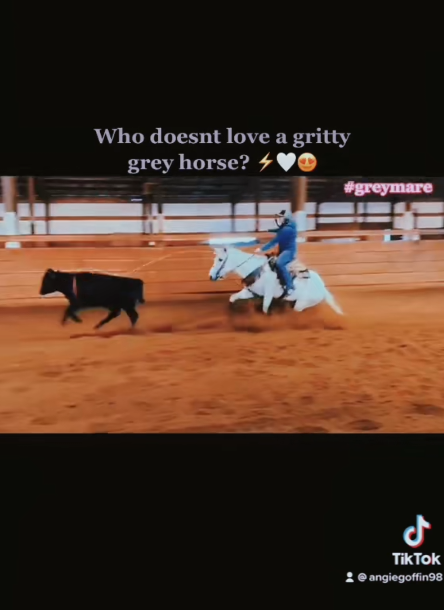 #onthisday #greymare #breakawayroping 