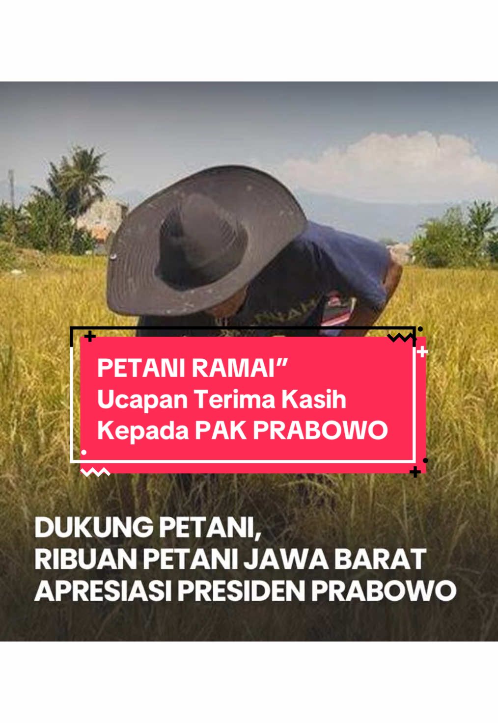 Dikala banyak hujatan ,  Para petani ramai” Ucapan Terima Kasih Kepada PAK PRABOWO #petani #petanimuda #petaniindonesia🇮🇩🇮🇩🇮🇩🌿🌿 #prabowo #pragib 