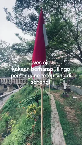 ojo kejeron yaaa #fyp #wirosari24jam #wirosarigumegrah #wirosariupdate #trending 