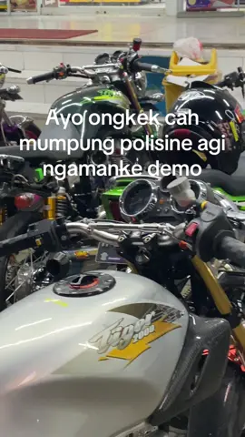 Ndhang siapne Sabtu gaulmu cah😬#fyp #xyzbca #tiger 