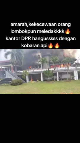 harus terimak konsekuensi bapak🔥 #lombokvirall🌴🌴 #fyplombok #DPRlombok#lombokvirall🌴🌴 