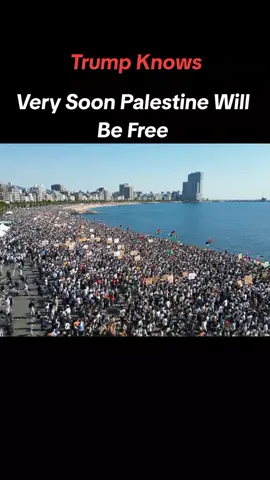 Free Palestine #palestine #freepalestine #protest #gaza #fyp 