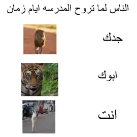 #fyp #fyyyyyyyyyyyyyyyy #الشعب_الصيني_ماله_حل😂😂 