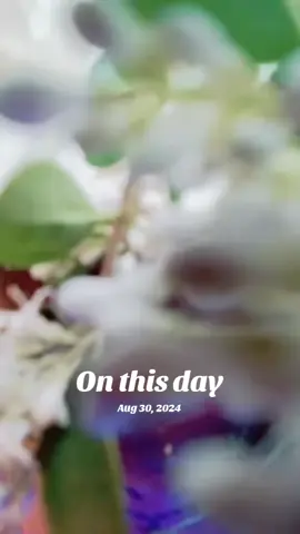 #onthisday