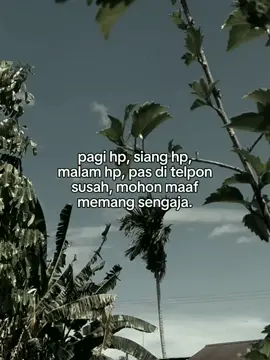 #fyp 
