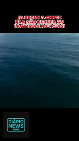 Ilha das Cobras: o lugar proibido no Brasil onde quem entra pode nunca voltar 🐍😱 