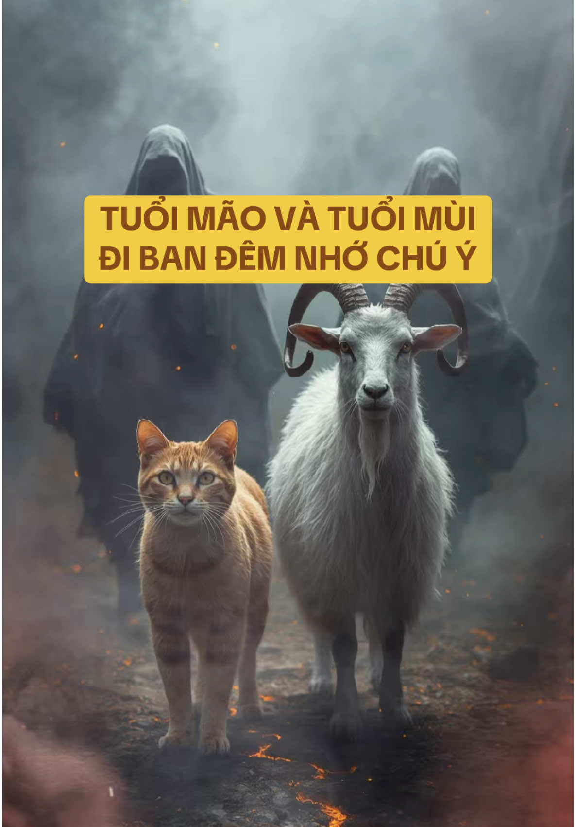 Tuổi Mão và Tuổi Mùi ra đường khuya nhớ nghe #tuoimao #tuoimui #thangcohon 