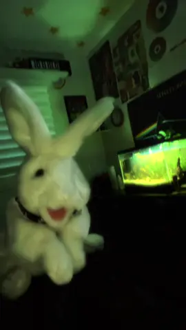 chop suey - system of a down  ★ #bunny #soad #systemofadown #numetal #metal #thrashmetal #skipperrabbit #soadfans #soadfan #fyp #fypシ 