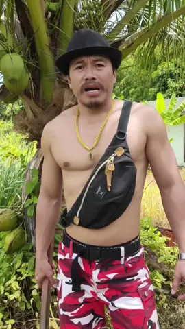 #🤣คลิปฮา🐎วากับทิต🐿️ 